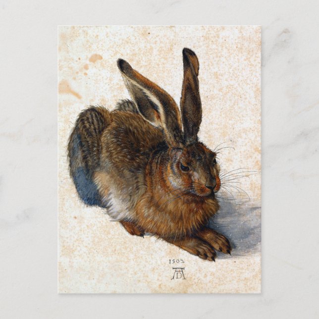 Albrecht Dürer Young Hare Postcard (Front)