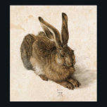 Albrecht Durer Young Hare Poster<br><div class="desc">Albrecht Durer Young Hare</div>