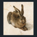 Albrecht Durer Young Hare Poster<br><div class="desc">Albrecht Durer Young Hare</div>