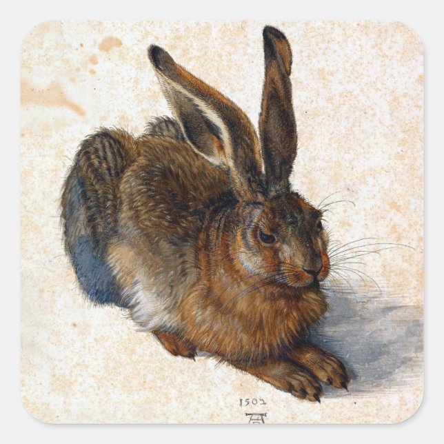 Albrecht Dürer Young Hare Square Sticker (Front)