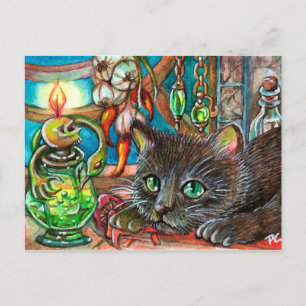 Alchemist's Cat Postcard