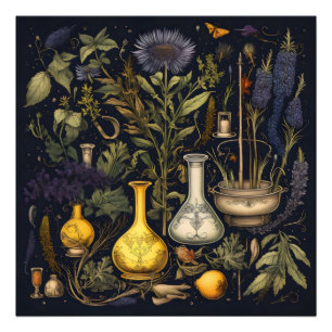Alchemy Magic Herbs Photo Print