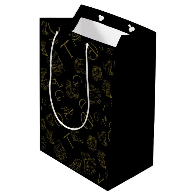 Alchemy Medium Gift Bag (Back Angled)