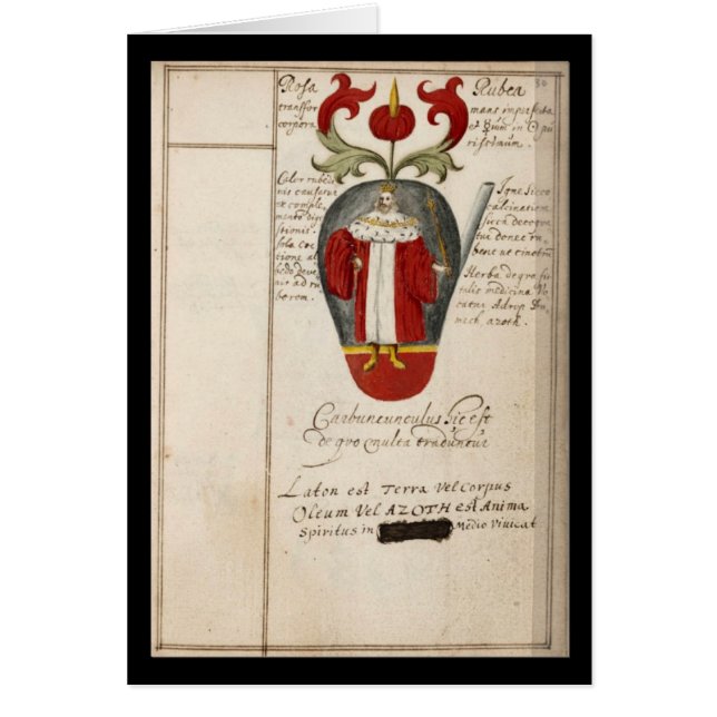 Alchemy Notebook By Johann Grasshoff 1620 Plate 15 (Front)