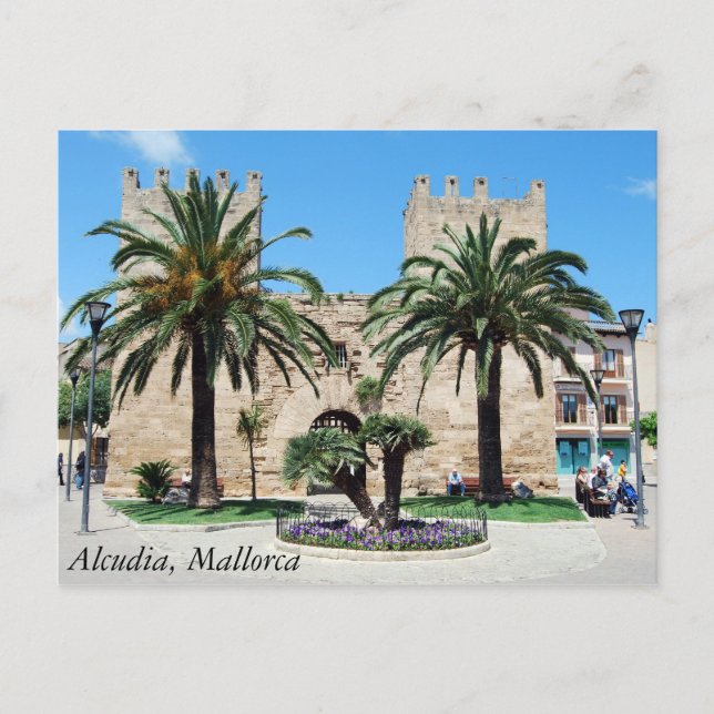Alcudia, Mallorca Postcard (Front)