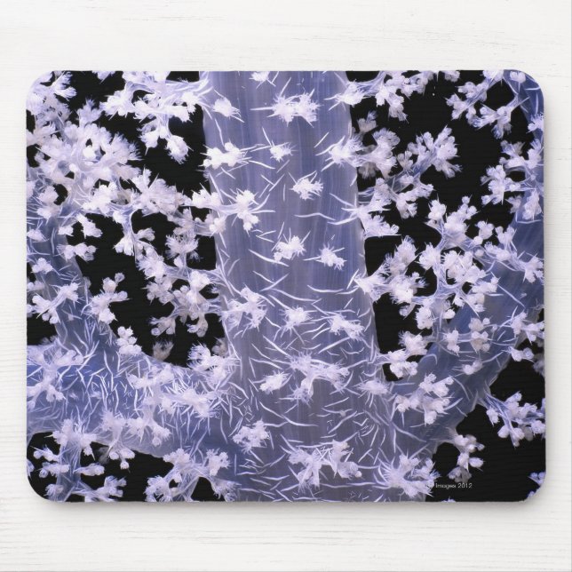 Alcyonarian Coral (Dendronephthya sp.) Mouse Pad (Front)