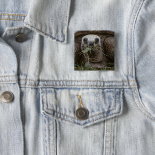 Aldabra Tortoise Grazing 15 Cm Square Badge