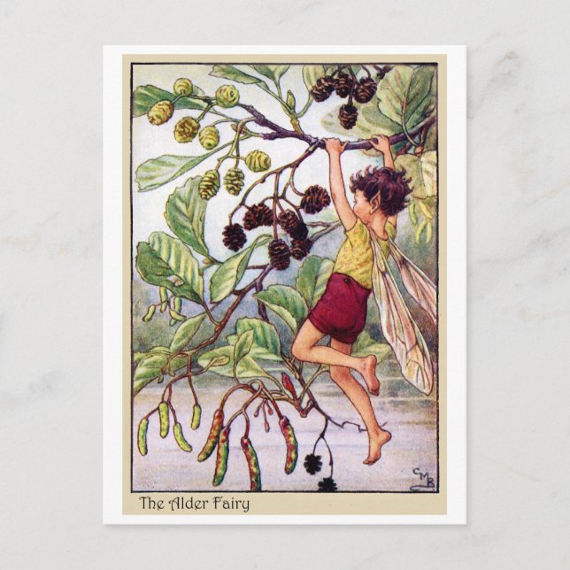 Alder Fairy Postcard (Front)