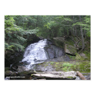Alder Falls Photo Print