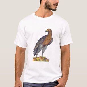 Aldrovandi Bird of Prey, Hawk or Eagle T-Shirt