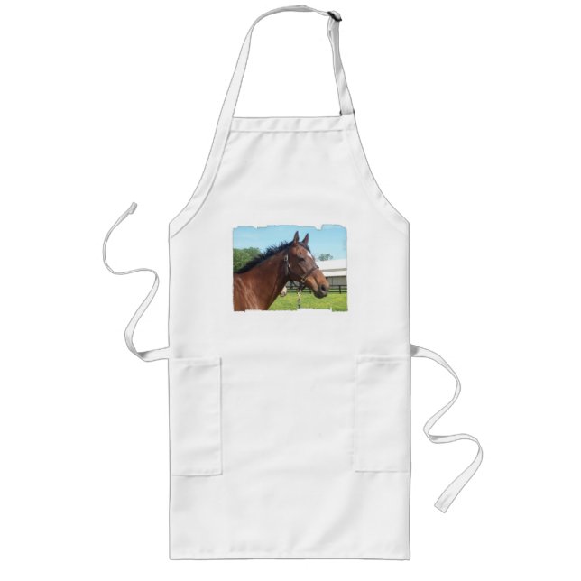 Alert Arabian Horse Long Apron (Front)