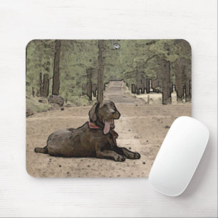 Alert Chocolate Lab On A Forest Trail Mouse Pad
