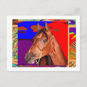 Alert Cute Brown HORSE : Stallion Racer Postcard