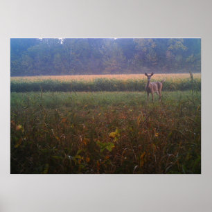 Alert Doe Poster