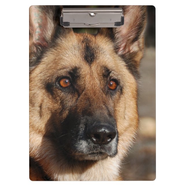 Alert German Shepherd Clipboard (Front)