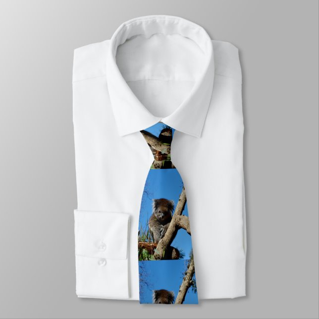 Alert Koala Bear In Gum Tree, Tie (Tied)