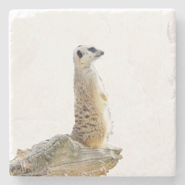 Alert Meerkat On Guard Duty, Stone Coaster (Front)