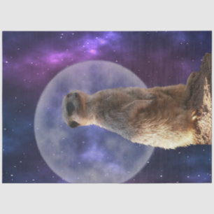 Alert Meerkat On Night Watch, Tissue Paper