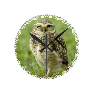 Alert Owl Clock