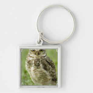 Alert Owl Keychain