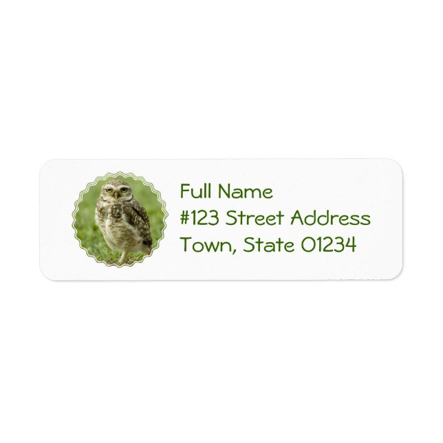 Alert Owl Mailing Labels (Front)