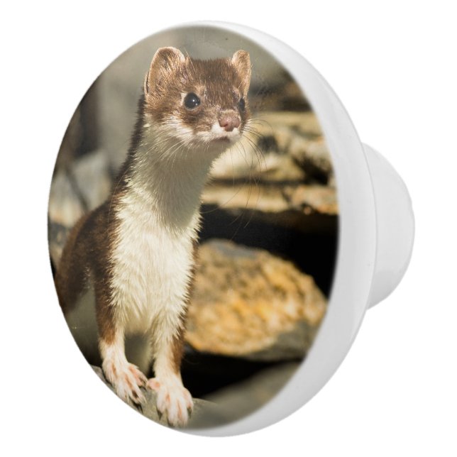 Alert Weasel Ceramic Knob (Right)