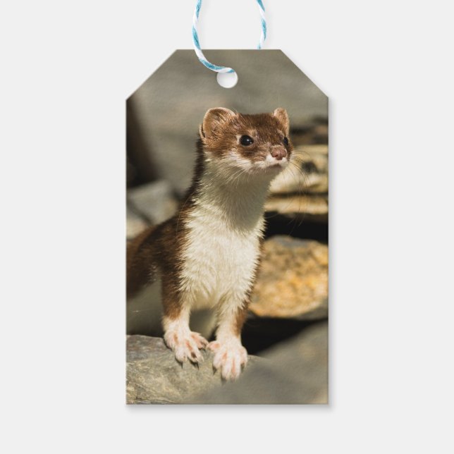Alert Weasel Gift Tags (Front)