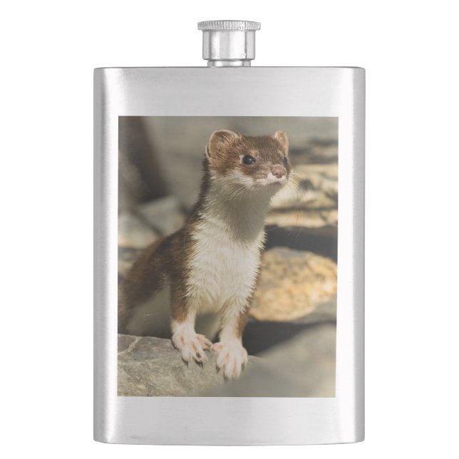 Alert Weasel Hip Flask (Front)