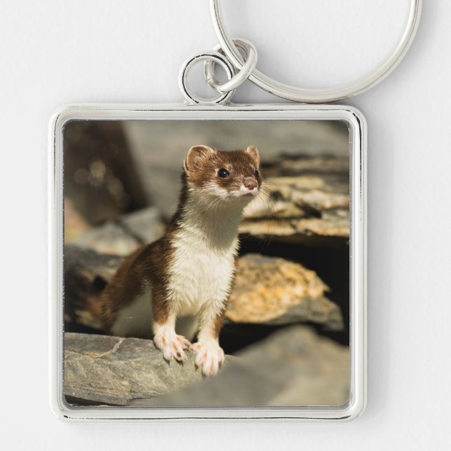 Alert Weasel Key Ring (Front)