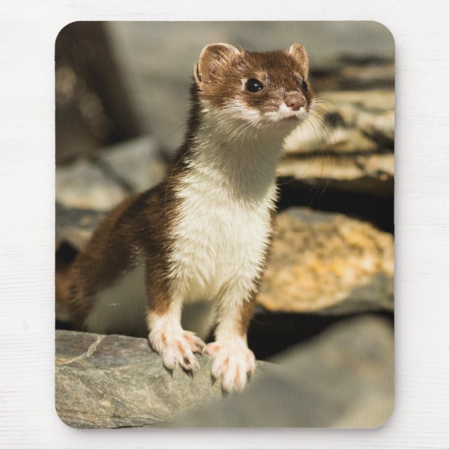 Alert Weasel Mouse Pad (Front)