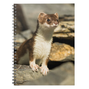 Alert Weasel Notebook