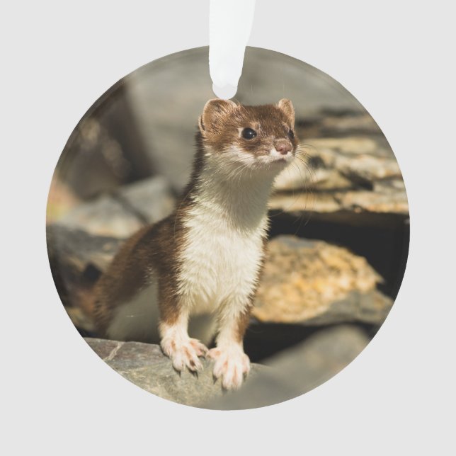 Alert Weasel Ornament (Front)