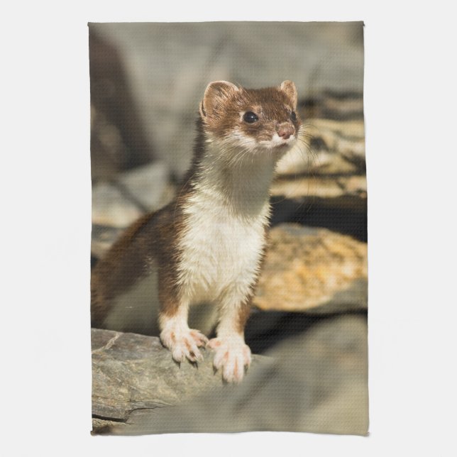 Alert Weasel Tea Towel (Vertical)