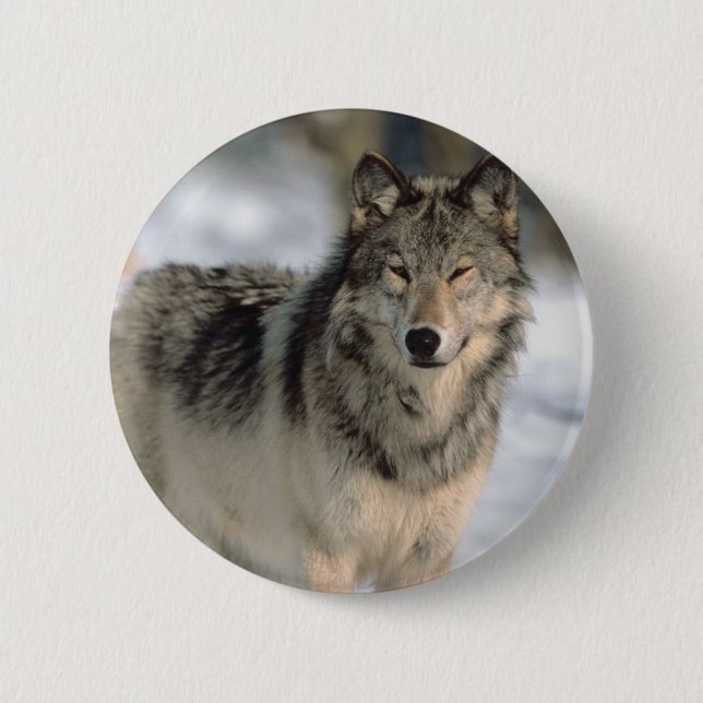 Alert Wolf 6 Cm Round Badge (Front)