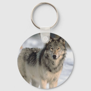 Alert Wolf Key Ring