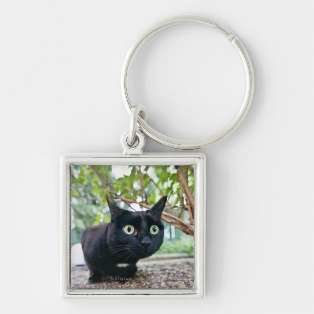 alerted cat hiding under bush. key ring (Front)