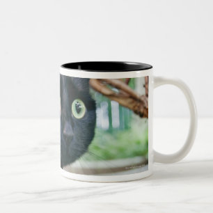 alerted cat hiding under bush. Two-Tone coffee mug