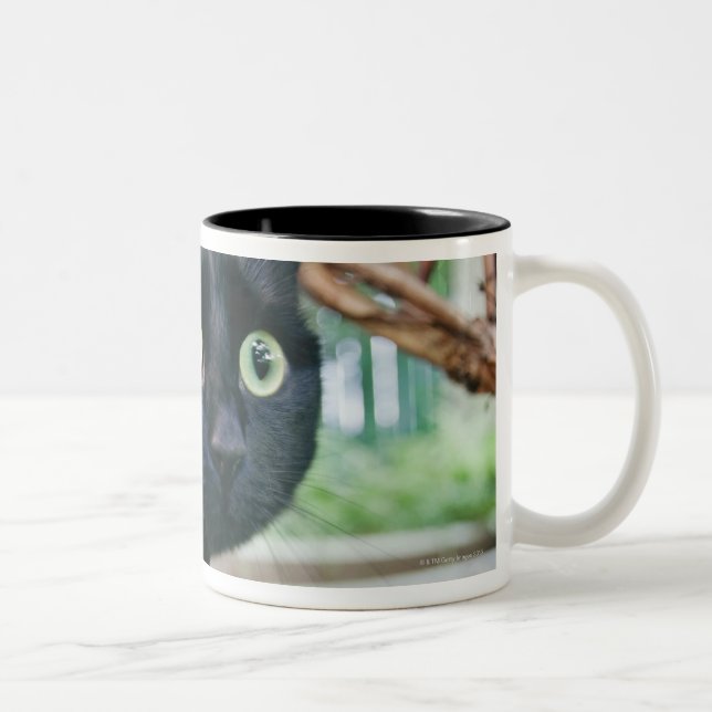 alerted cat hiding under bush. Two-Tone coffee mug (Right)