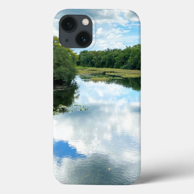 Alexander Spring Creek iPhone Cases (Back)