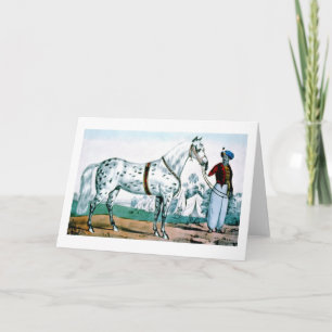 Alexander the horse, USA 1840 Holiday Card