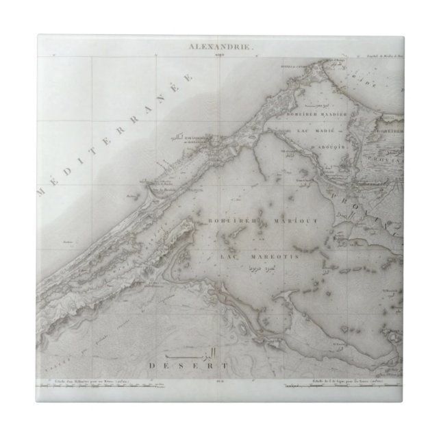 Alexandrie, Egypt Tile (Front)