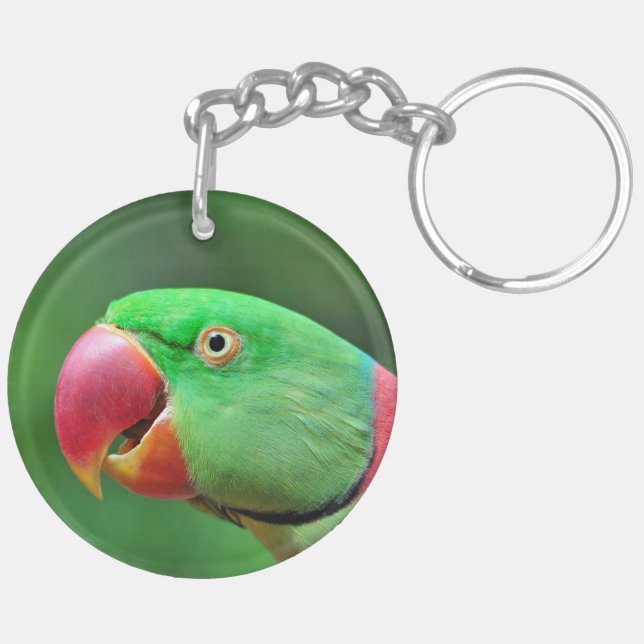 Alexandrine Parakeet Key Ring (Back Left)