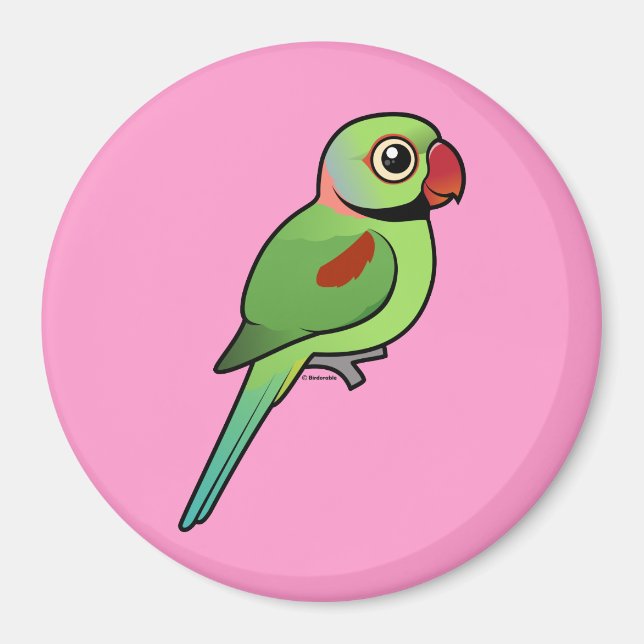 Alexandrine Parakeet Magnet (Front)
