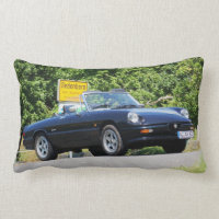 Alfa Romeo Spider as CENTER special model