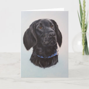 Alfie Card