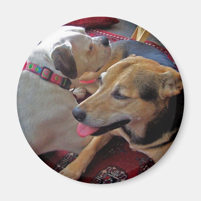 Alfie & Holly: Best Buds Magnet (Front)