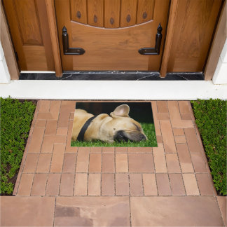 Alfombra de perro para hogar doormat