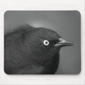 Alfred Hitchcock bird Mouse Pad