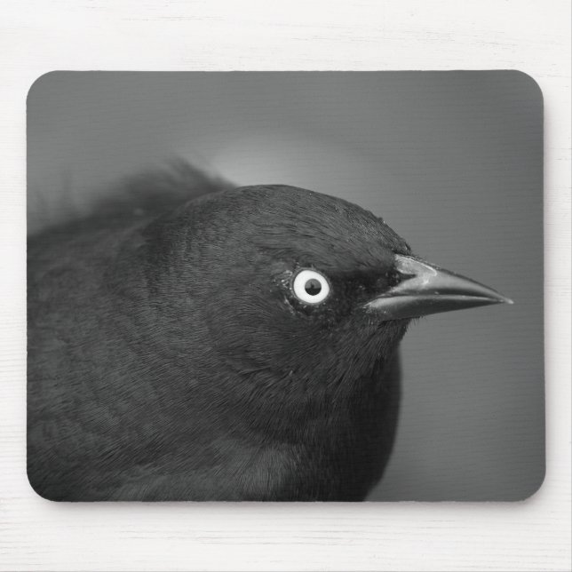 Alfred Hitchcock bird Mouse Pad (Front)