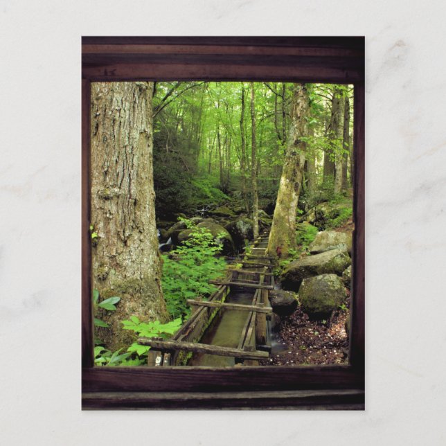 Alfred Reagan's Mill Postcard (Front)